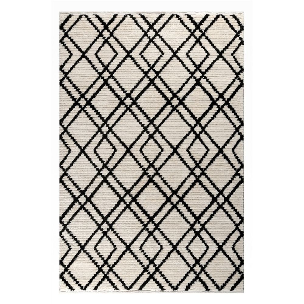 Μοντέρνο Χαλί ETRO 35782-095 BLACK/WHITE