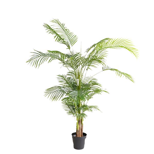 PALM TREE NP5502-180-22 ΥΨΟΣ 180cm