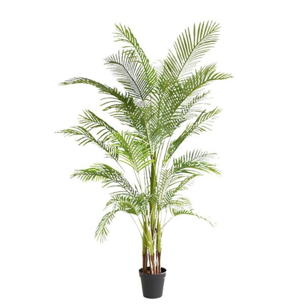 PALM TREE NP5501_210_22 ΥΨΟΣ 210cm