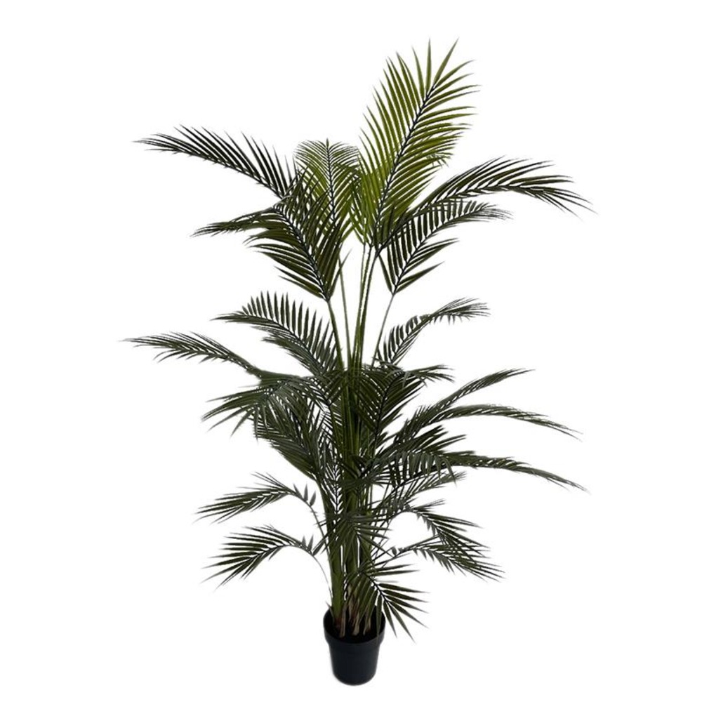 PALM TREE NP160_210_UV ΥΨΟΣ 210cm