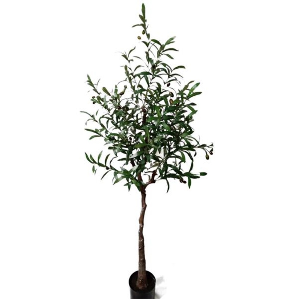 OLIVE TREE NP4817_160_22 ΥΨΟΣ 160cm 