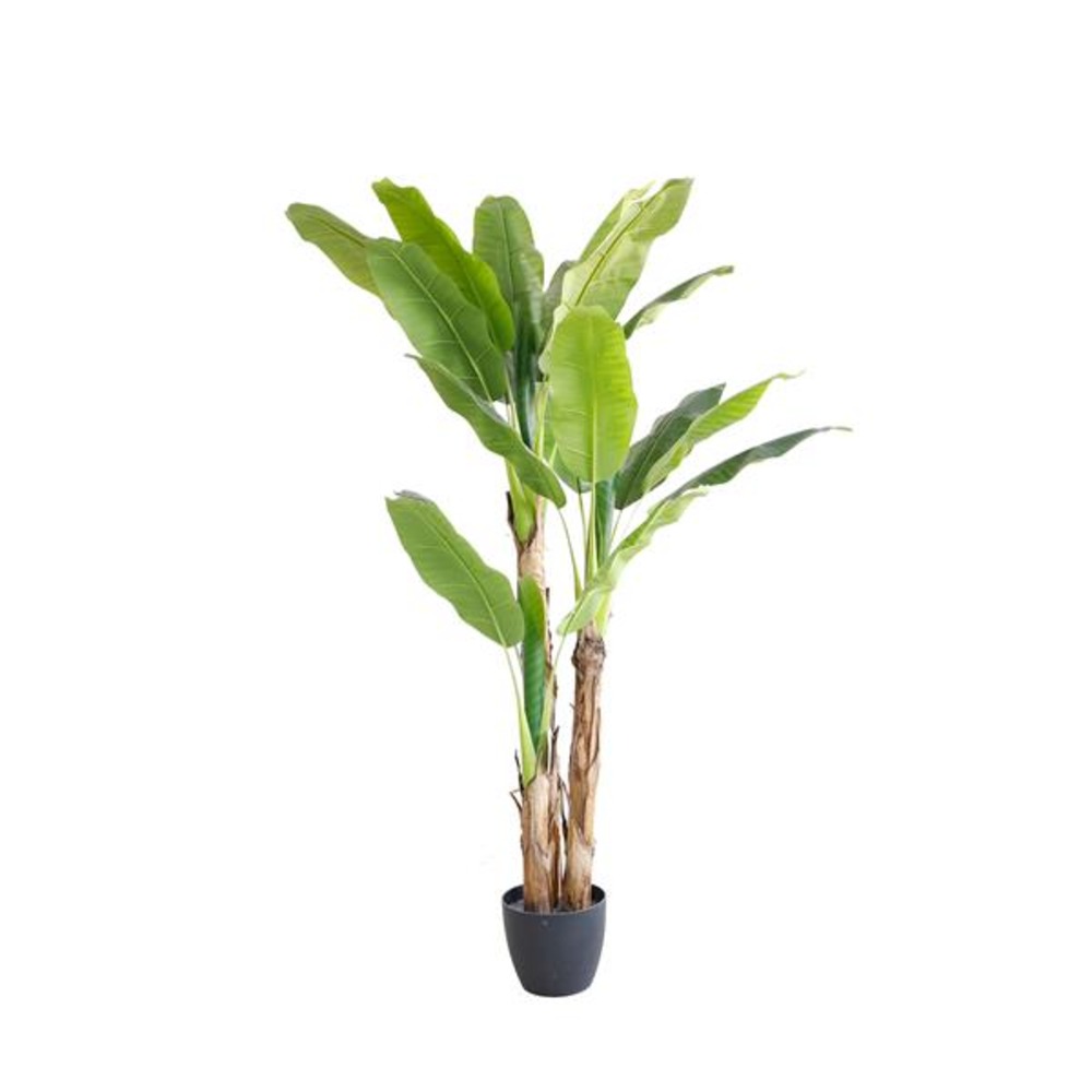 Τεχνητό δέντρο BANANA TREE NP6327/180/22 ΥΨΟΣ 180cm