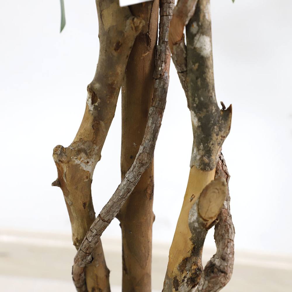 Τεχνητό δέντρο FICUS TREE NP5209/180 ΥΨΟΣ 180cm