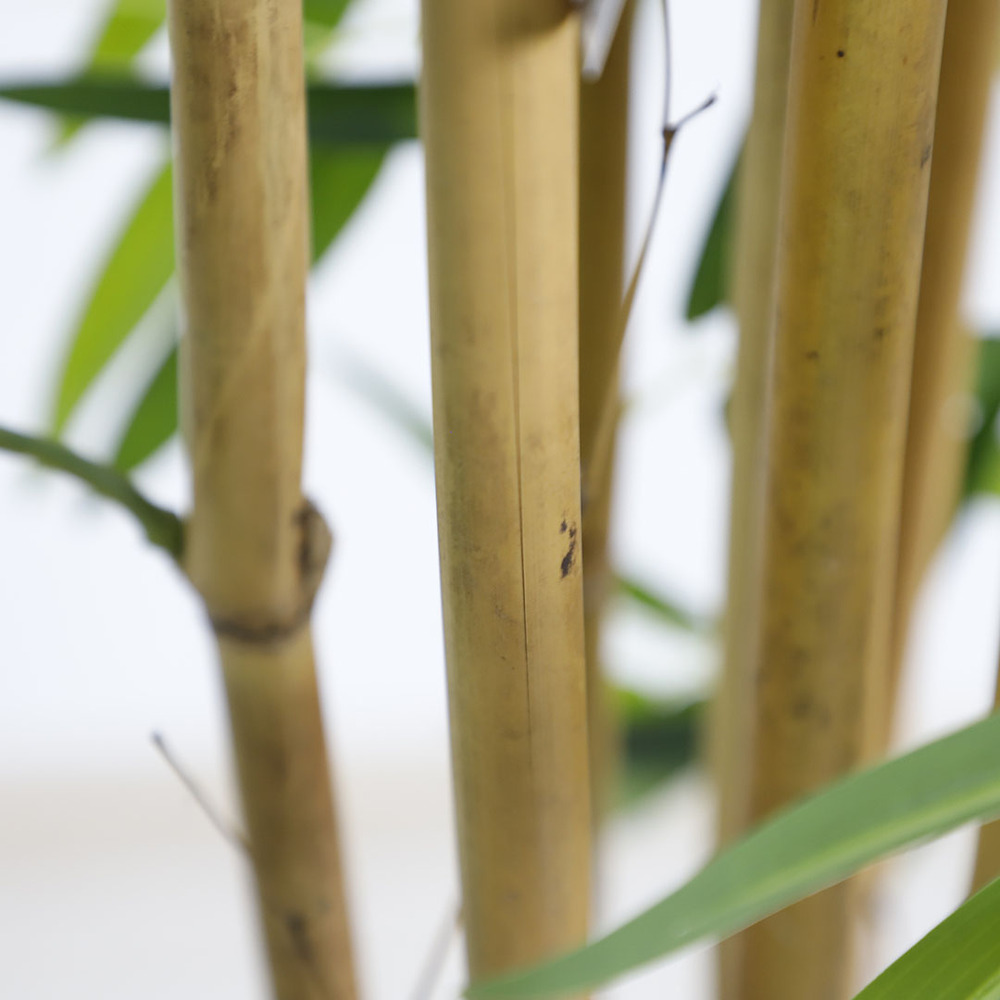 Τεχνητό δέντρο BAMBOO NP0076-210 ΥΨΟΣ 210cm