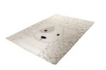 Χαλί ELIOT 69946-ΛΕΥΚΟ- ΚΡΕΜ Tzikas Carpets