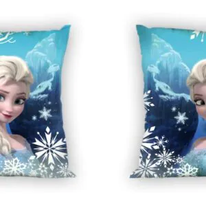 ΜΑΞΙΛΑΡΑΚΙΑ DISNEY FROZEN 93 40Χ40 Digital Print
