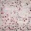 ΧΑΛΙ SHINY VELVET 5641/Light Grey Red - 200cm x 290cm