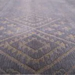 Carpet Grammy 11