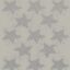 ΧΑΛΙ ΠΑΙΔΙΚΟ LOLLIPOPS NEW 4181/E SPLASH STAR GREY